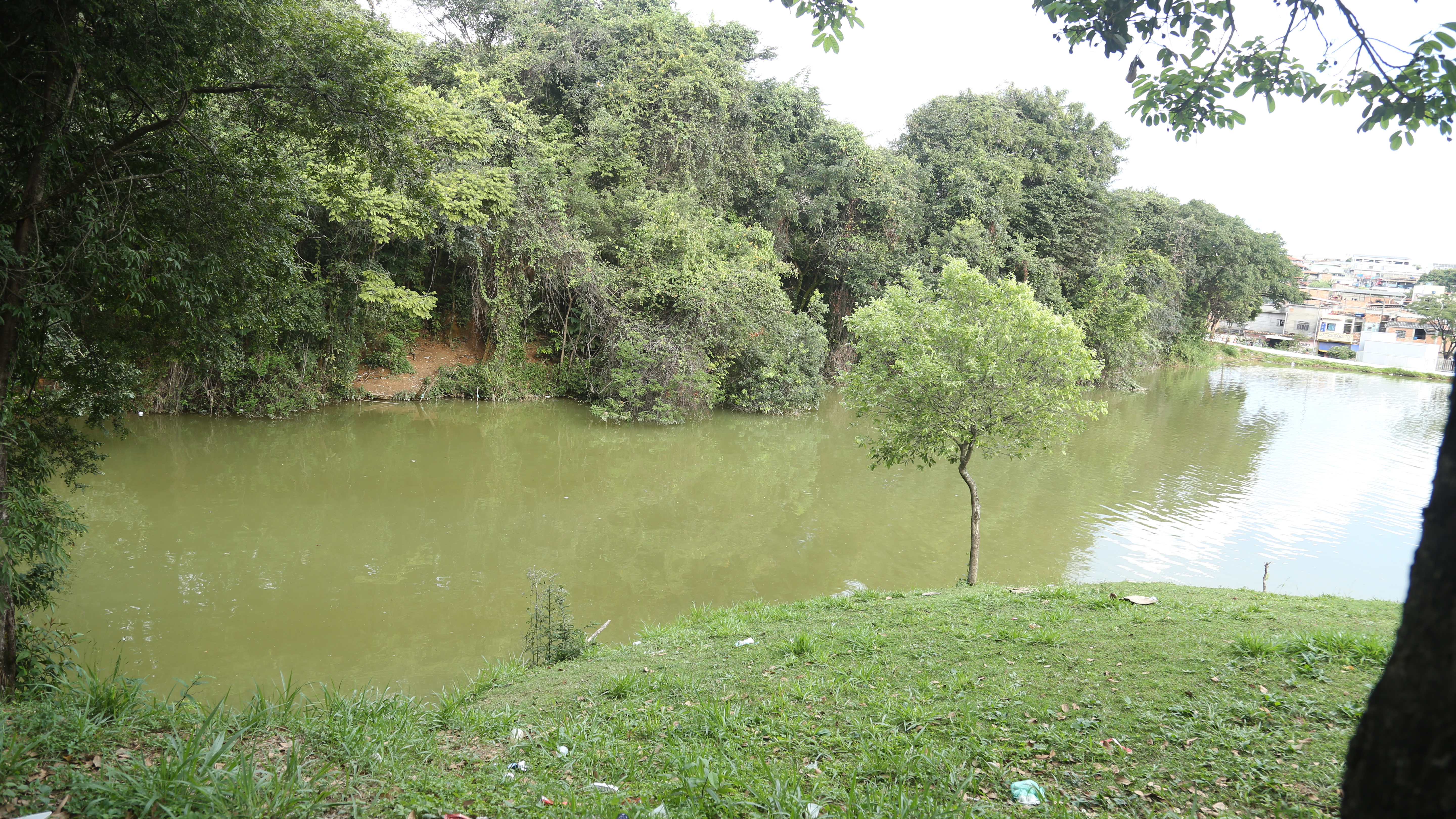 Parque Sapucaias